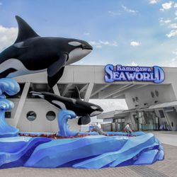 Sea World Tickets