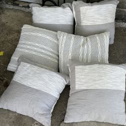 6 Cojines 