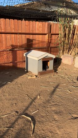 Dog house