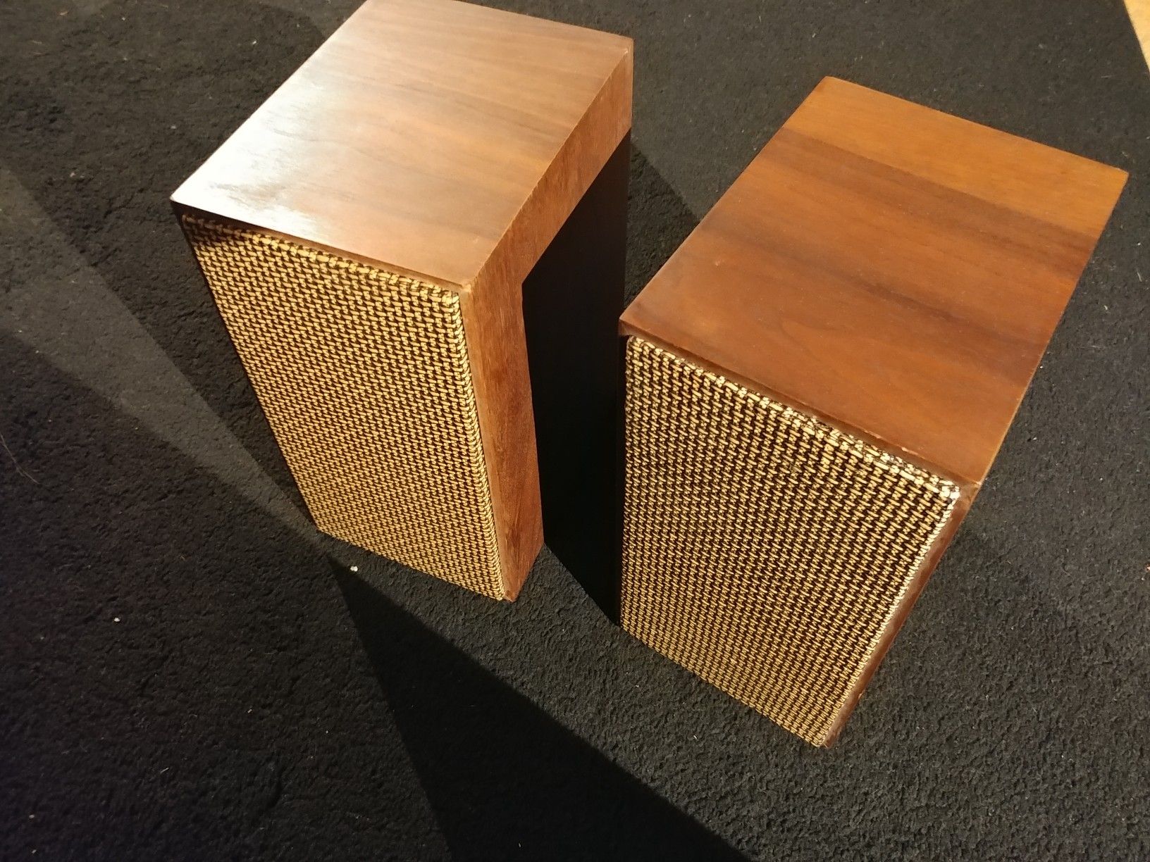 Goodman maximus 1 vintage speakers