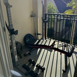 Weight Bench/squat Rack Olympic Weights & Dumbbells