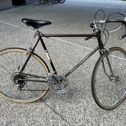 Schwinn 10 Speed 