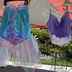 Little Mermaid Costume 