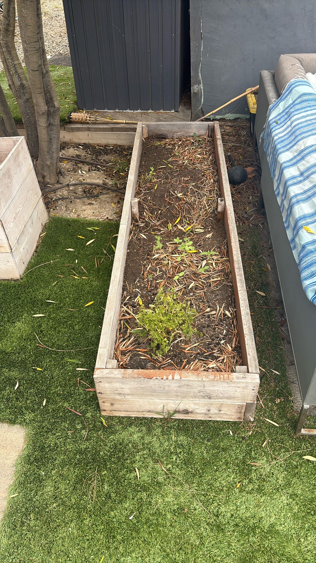 Planter Box - 2x8 Feet