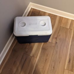 Igloo Cooler