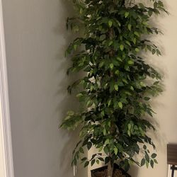 Silk 8ft Tall Fake Tree