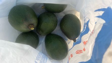 Organic Avocado