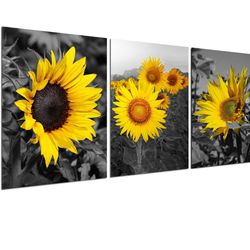 Sunflower Decor Wall Art Prints - Black and White Yellow Canvas Painting Flower Daisy Floral Pictures 3 Panels Unframed Bedroom Living Room Bathroom K