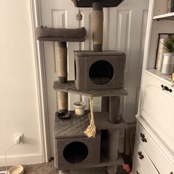 Free cat house