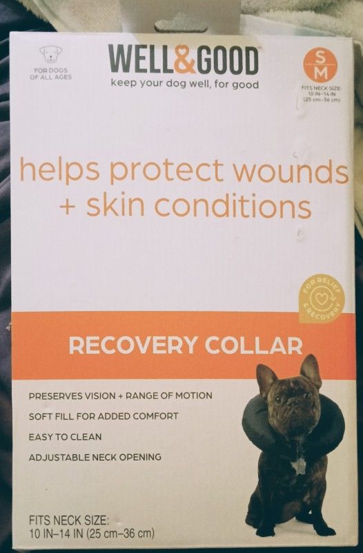 Recovery Collar🐶😸