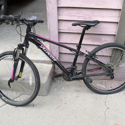 Specialized MountainBike-small