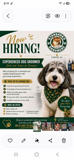 Dog grooming