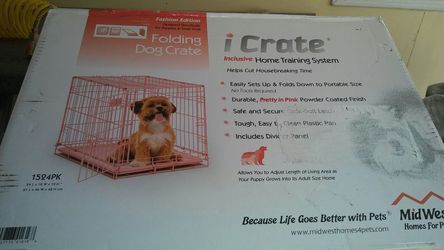 Dog create