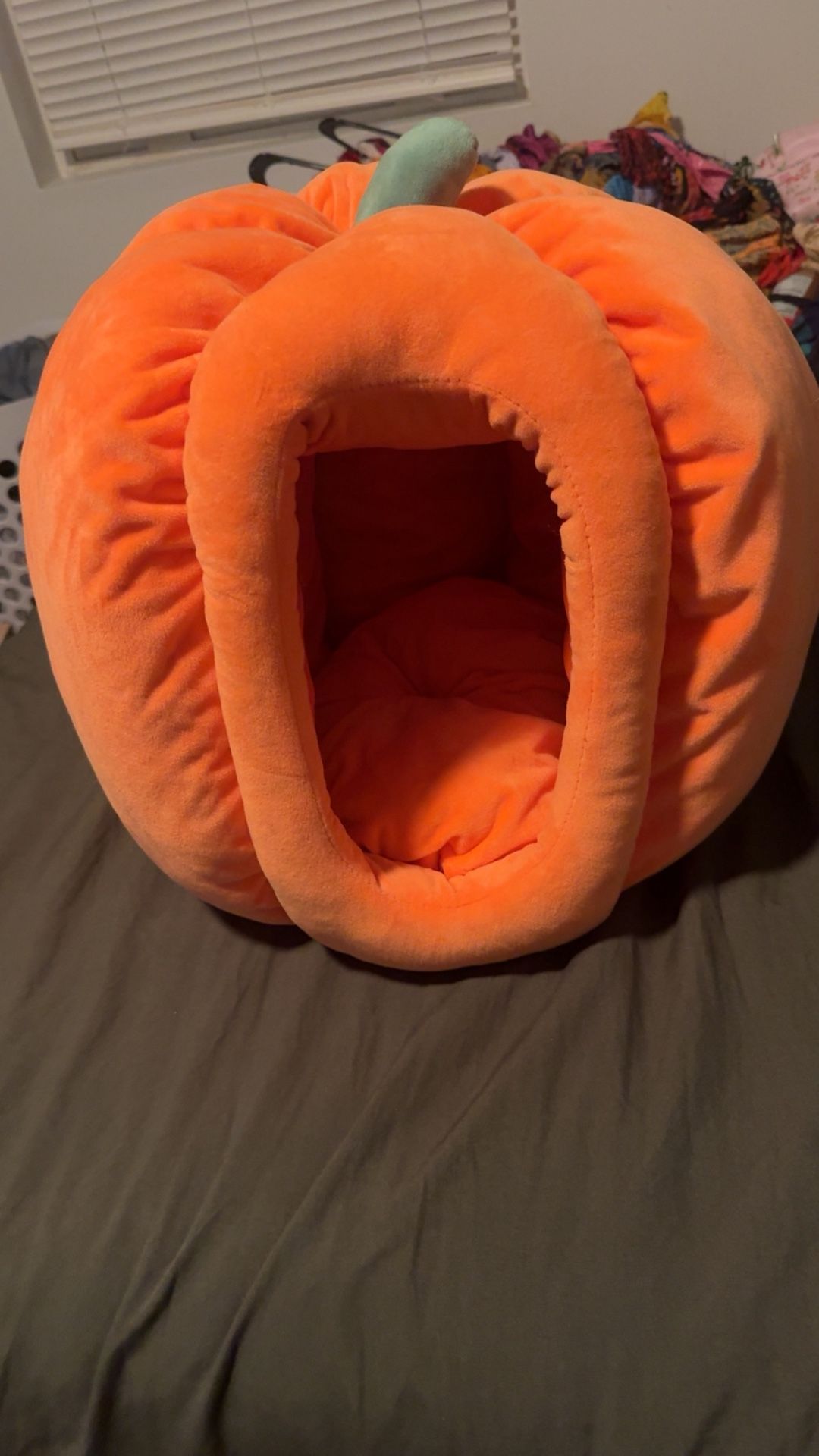 Pumpkin cat bed