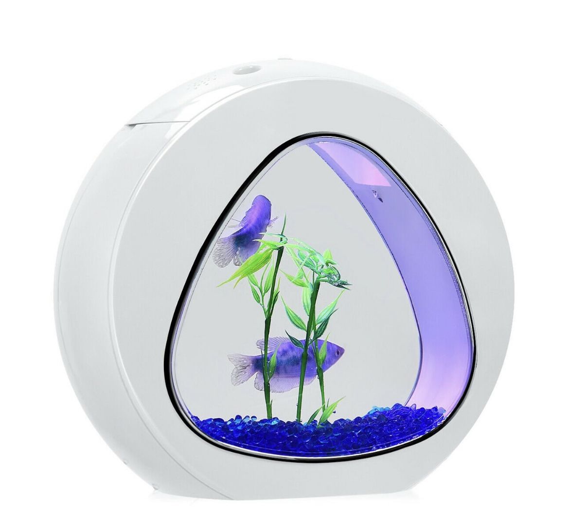 1Gallon Fish Aquarium Tank With Filter Air Pump-White