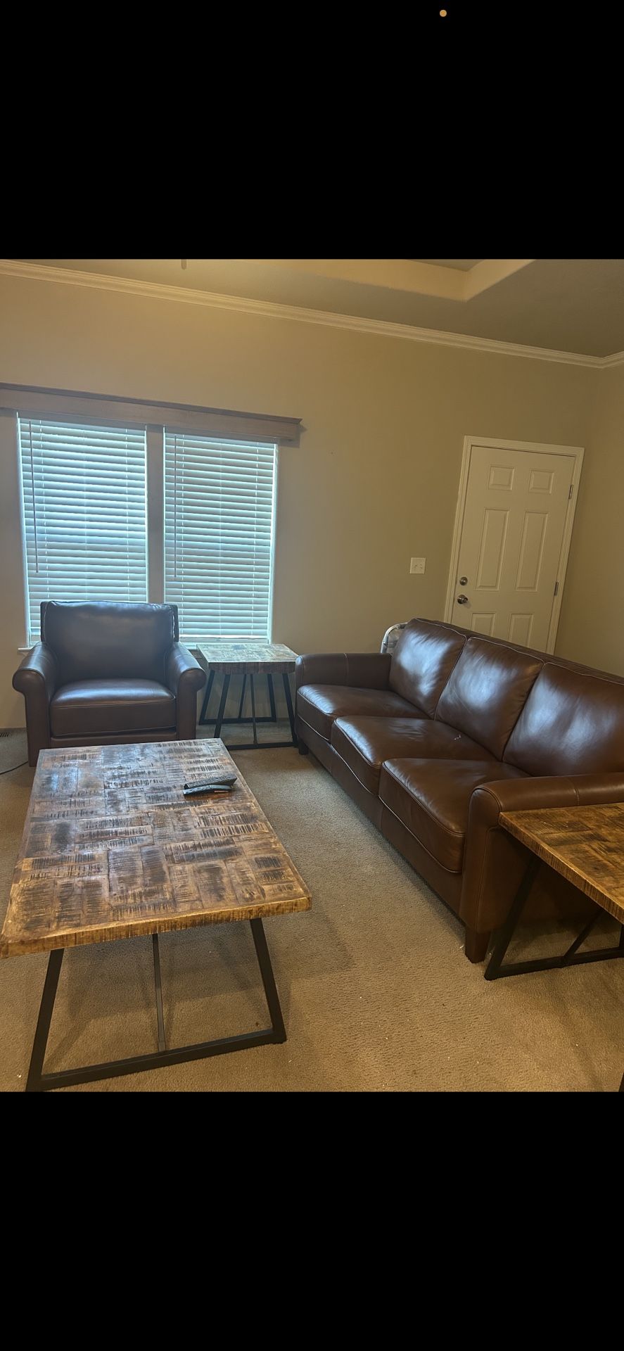 Leather Couch  And love Seat