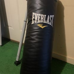 Everlast Punching Bag