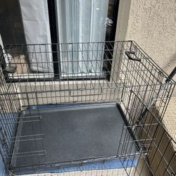 Dog Cage