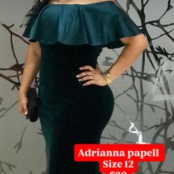 Adrianna Papell Gown 