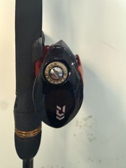 Diawa Bass Fishing Pole and Reel (NEW)