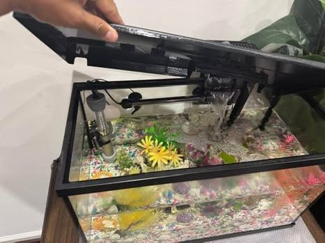 10g Fish tank with accessories and ornaments.