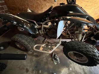 Raptor 300