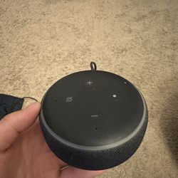 Echo dot