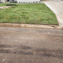 Zoysa grass