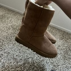 Uggs Size 7