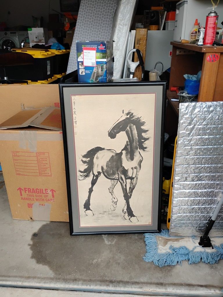 Picture Of Horse