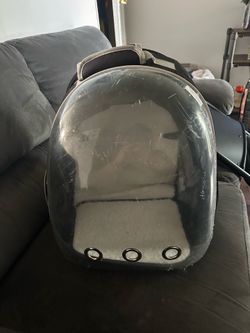 Cat backpack