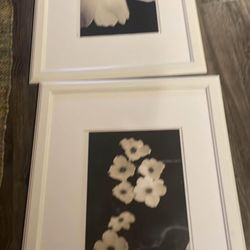 Framed Art. 