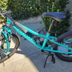 Kids Bike 20" 