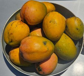 Stringy Hairy Sweet and Juicy Mango