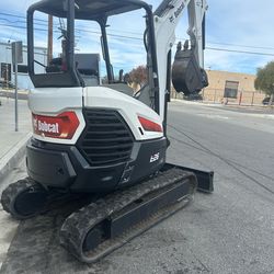 Bobcat