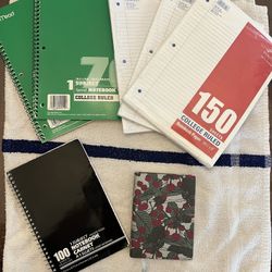 Lot of notebooks, journals, lined paper (see photos)