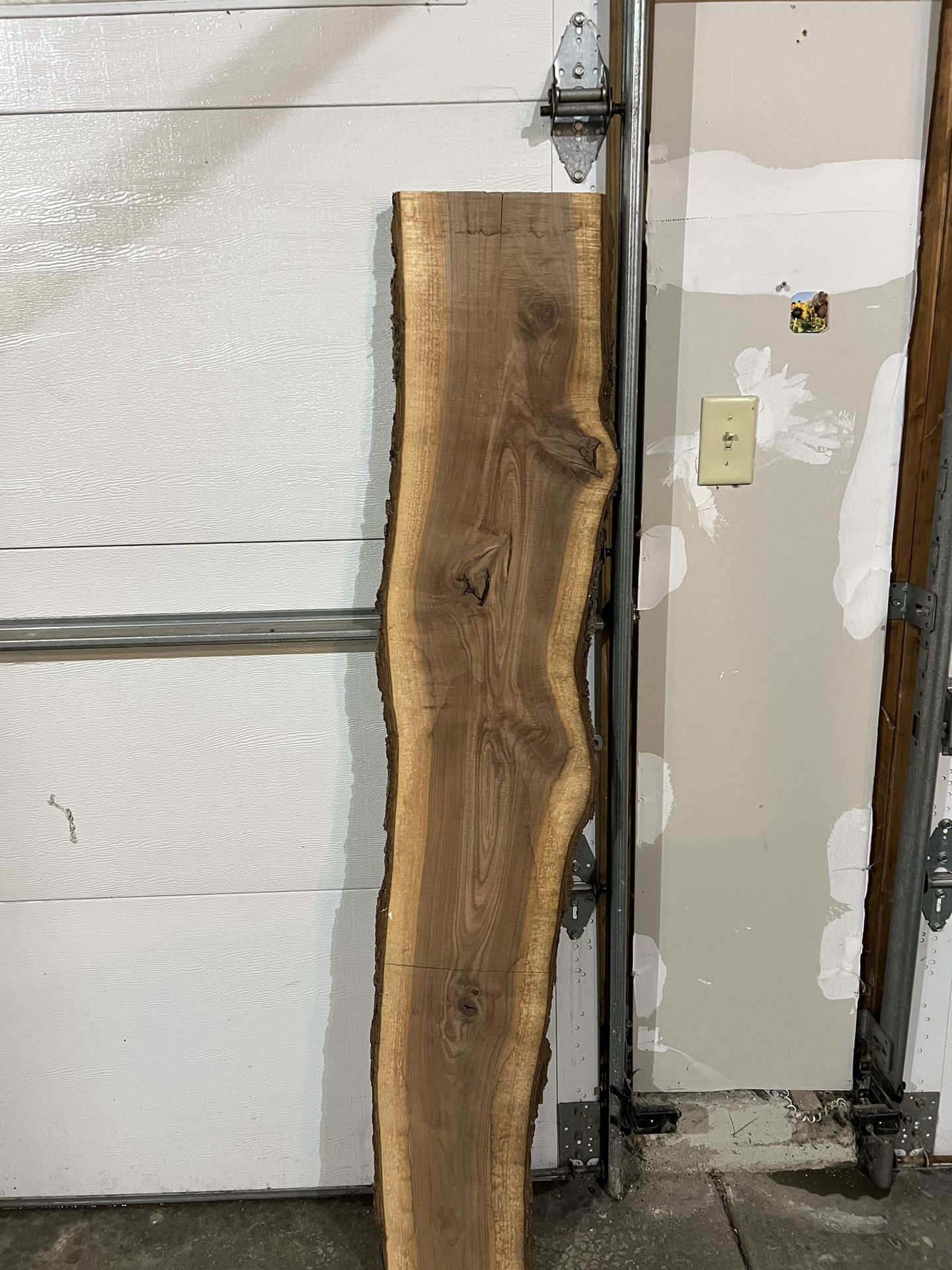 Black Walnut Live Edge Slab 2 Yrs Dried 