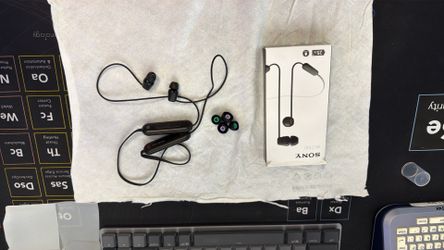 Sony WI-C100 wireless In-Ear Bluetooth headphones