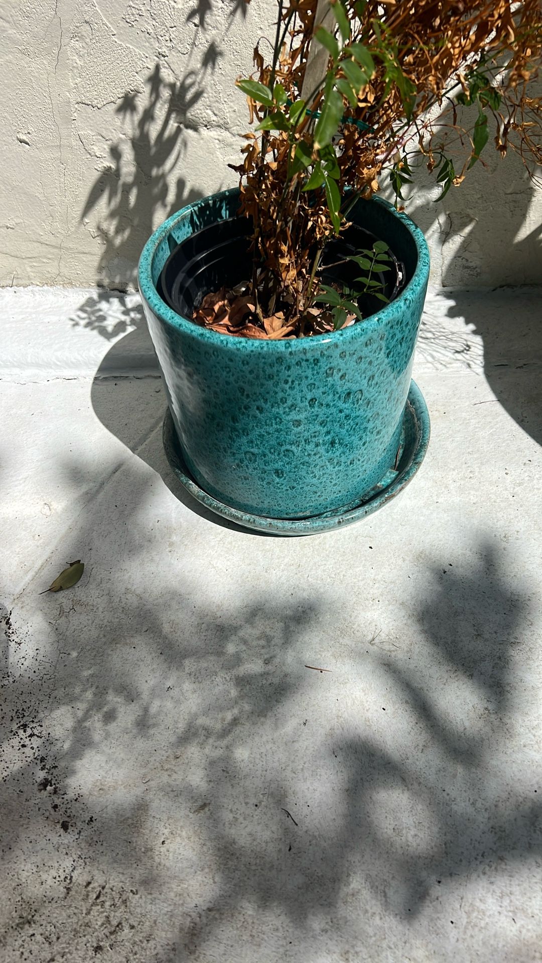 Ceramic Pot