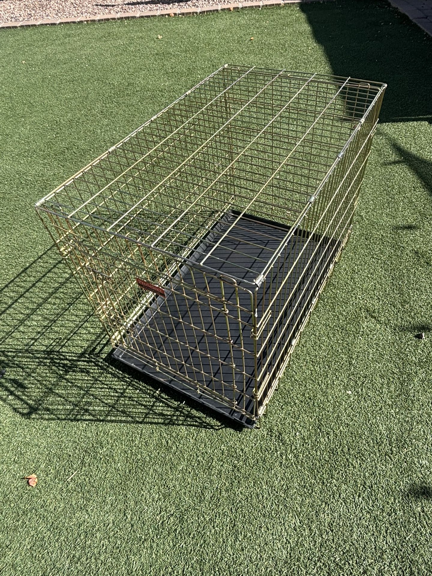 Pro Select Professional Dog Crate
