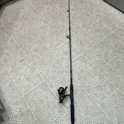 Master Spectra Fishing Rod & Daiwa Reel Combo
