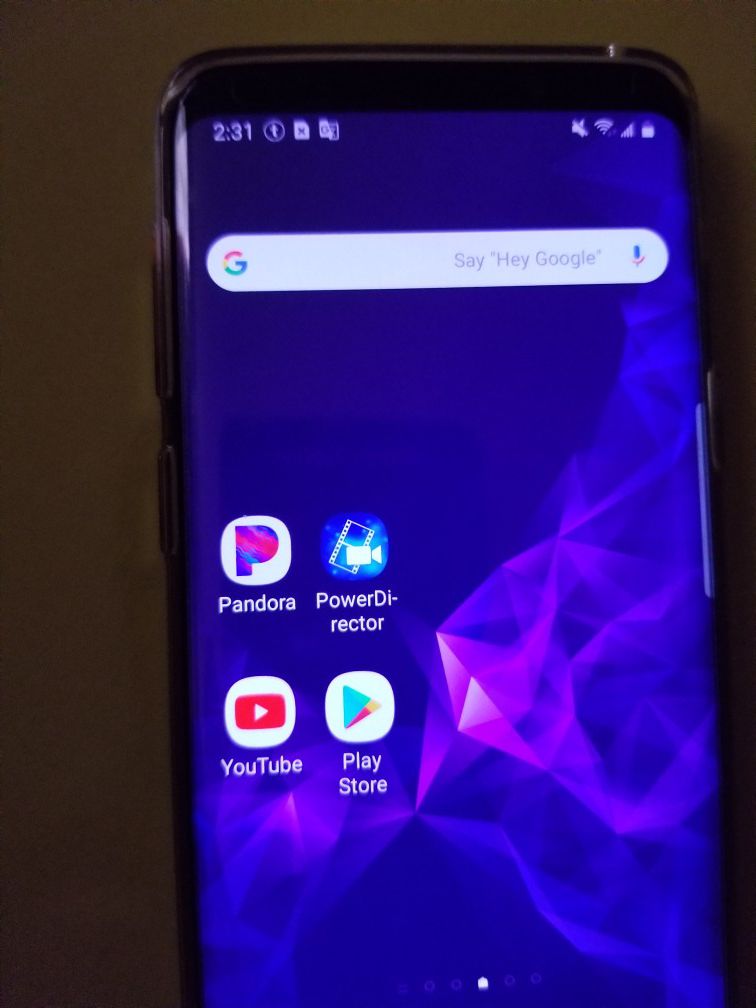 Samsung Galaxy S9 unlocked, with it's case, screen protector, and charger...
