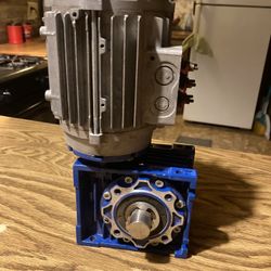 a Motovario electric motor paired with a worm gear reducer. 