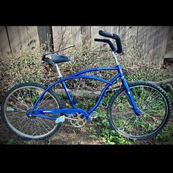 Earth Cruiser Bike