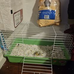 Cage For Guinea Pigs