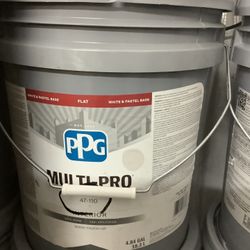 Interior Paint (Cool Slate)