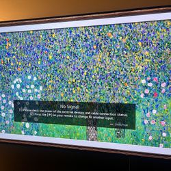 LG OLED 55 INCH Not $1