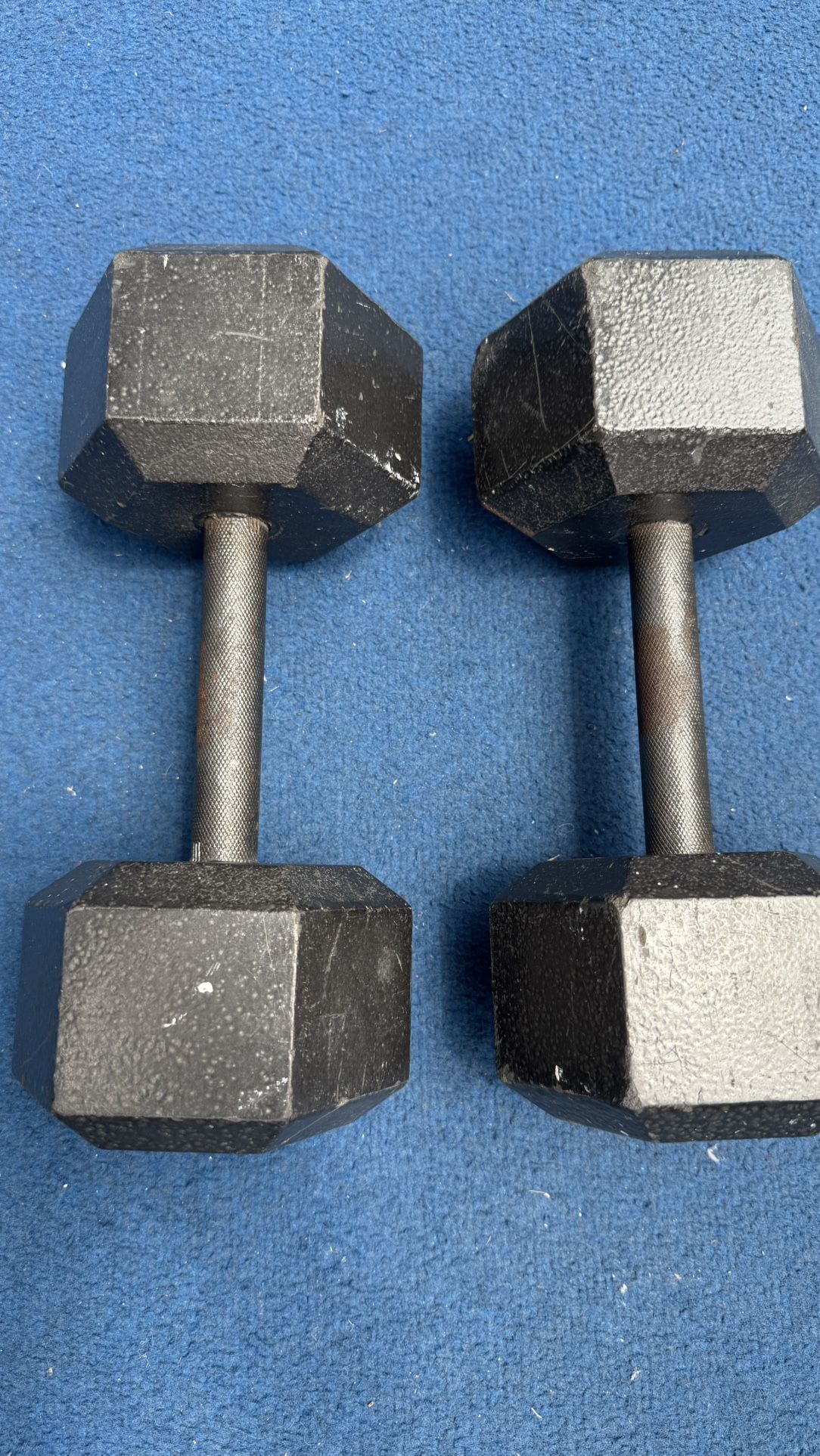 20 lbs dumbbells