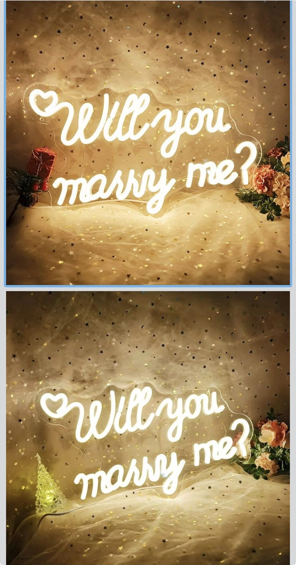 Will You Marry Me Sign USB Powered 