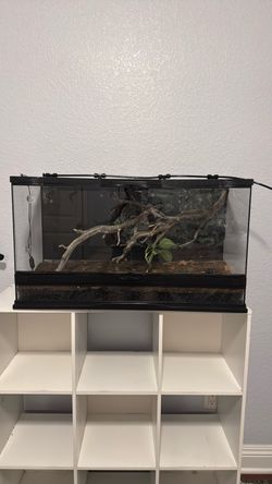 Terrarium for frogs or reptiles